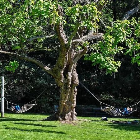 Ruhiges In Der Naehe Von Park Und Krankenhaus Mit Gratis Parkplatz Appartamento *