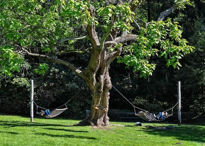 Ruhiges In Der Nähe Von Park Und Krankenhaus Mit Gratis Parkplatz Apartment *