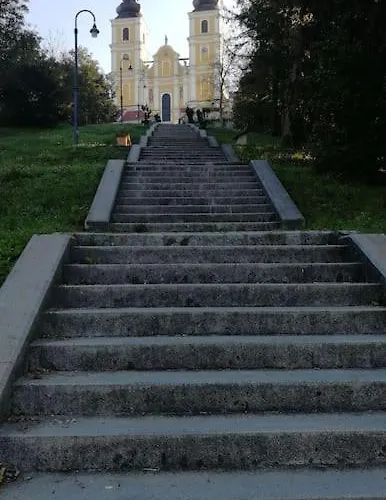 Ruhiges In Der Naehe Von Park Und Krankenhaus Mit Gratis Parkplatz Graz